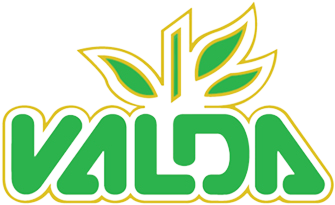 valda_logo-removebg-preview